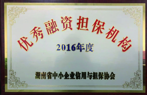 2016年度優(yōu)秀融資擔(dān)保機(jī)構(gòu)